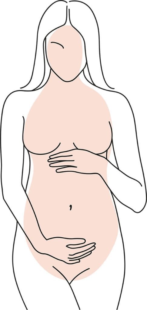 Ilustrație în linii cu o femeie însărcinată ținându-și burtica cu ambele mâini, capitolul despre fertilitate